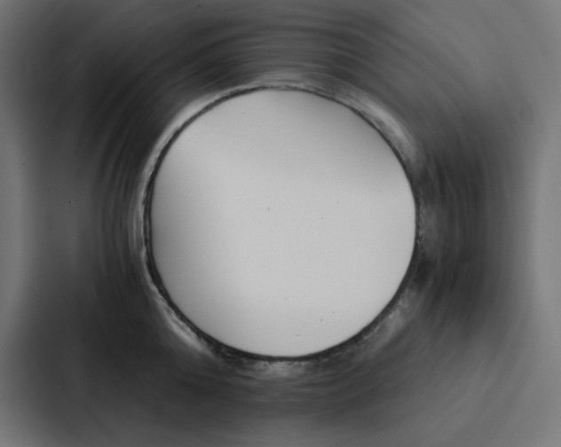 X0000088190808200705150958