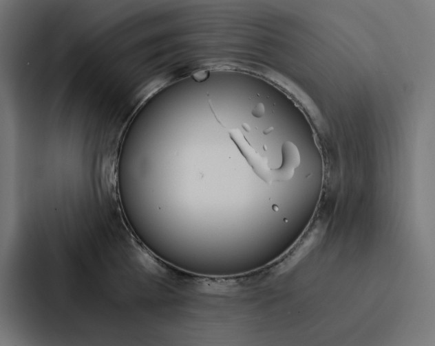 X0000088190809200705150958