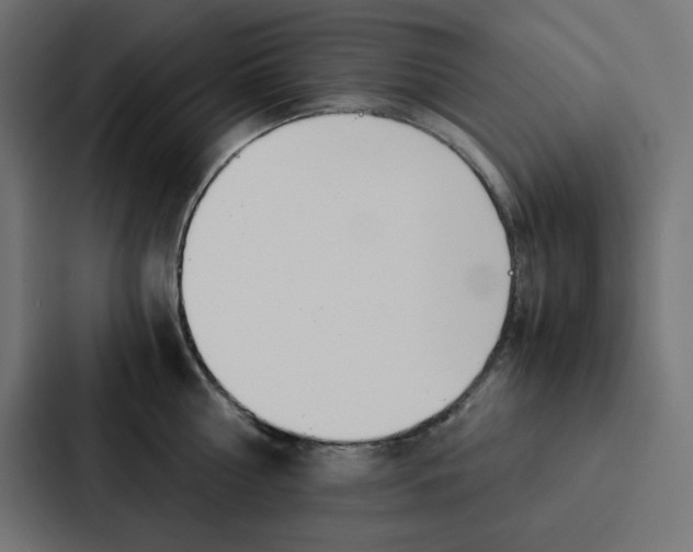X0000088190810200705150958