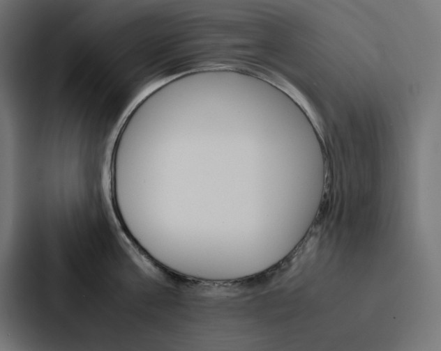 X0000088190811200705150958