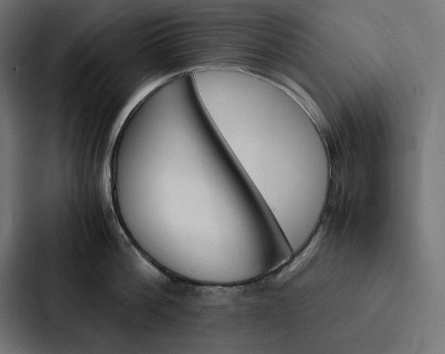 X0000088190812200705150958