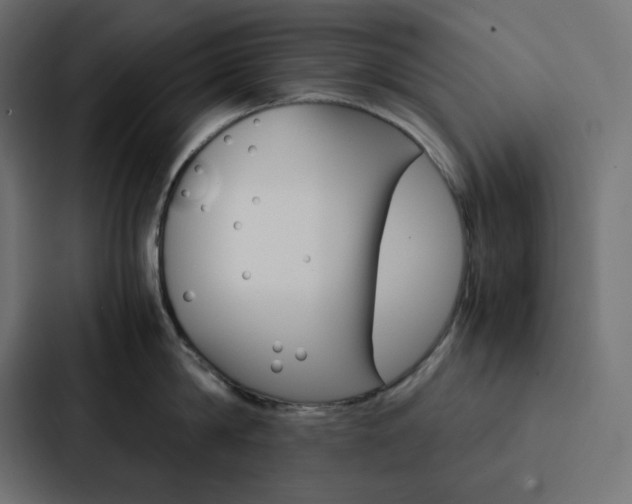 X0000088190814200705150958