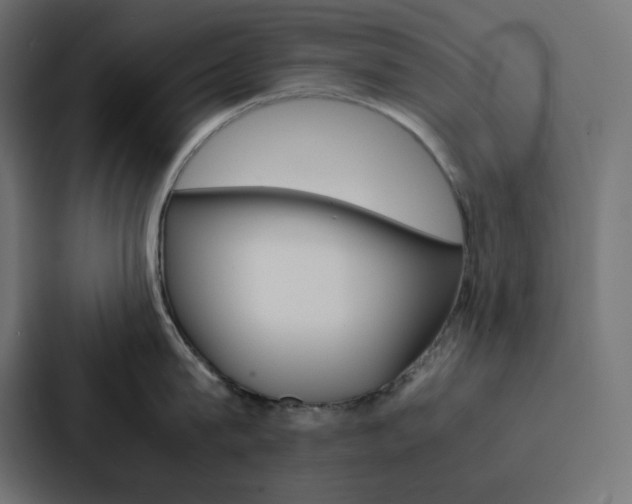 X0000088190815200705150958