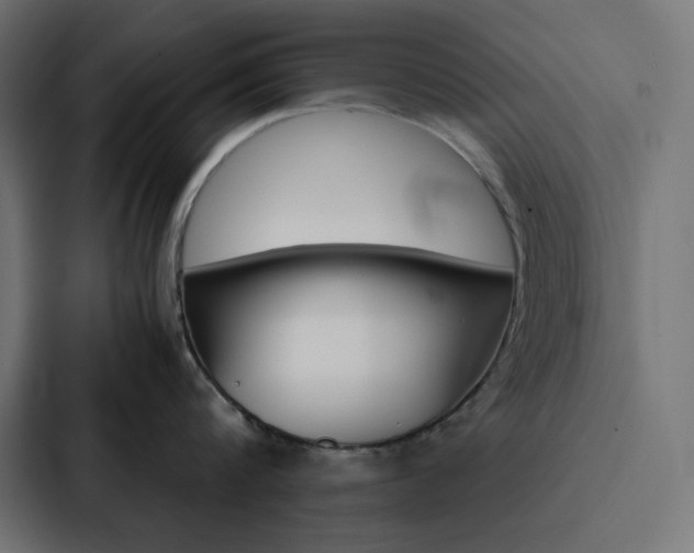 X0000088190816200705150958