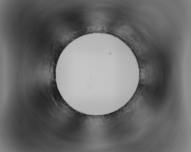 X0000088190820200705150957