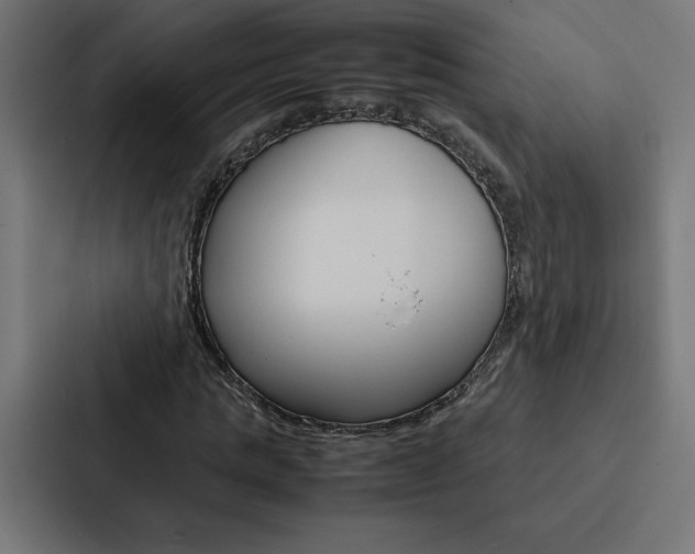 X0000088190821200705150957