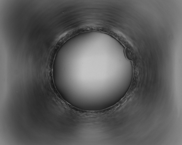X0000088190822200705150957