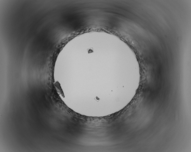 X0000088190824200705150957
