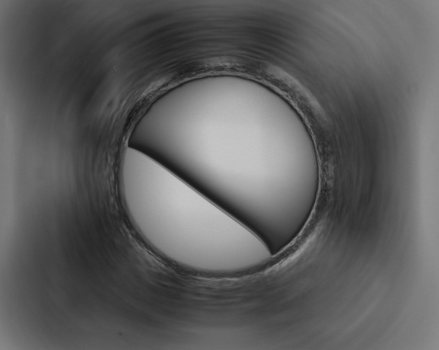 X0000088190825200705150957