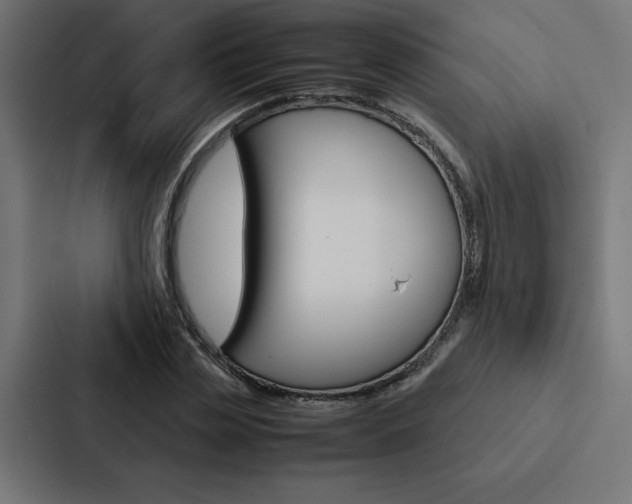 X0000088190829200705150957