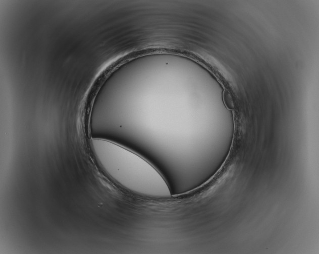 X0000088190830200705150957