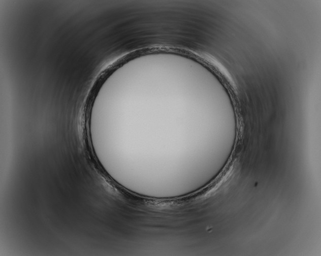 X0000088190831200705150957