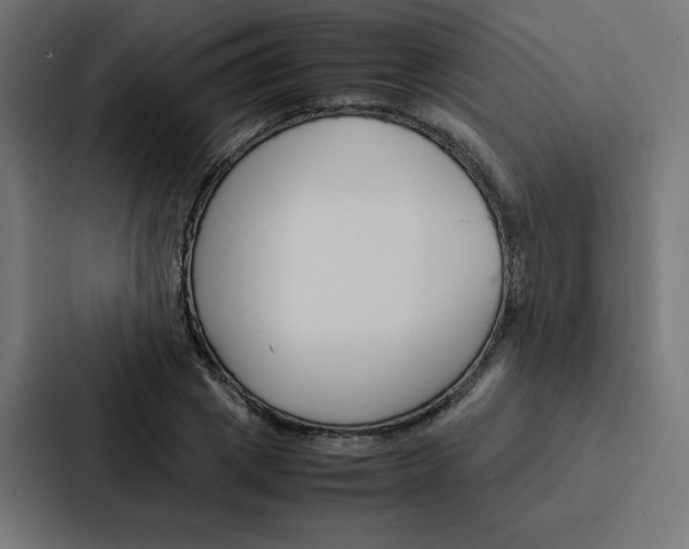 X0000088190833200705150957