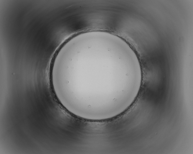 X0000088190836200705150957