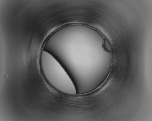 X0000088190837200705150958