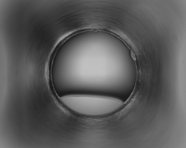 X0000088190838200705150958