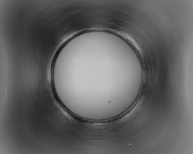 X0000088190839200705150958