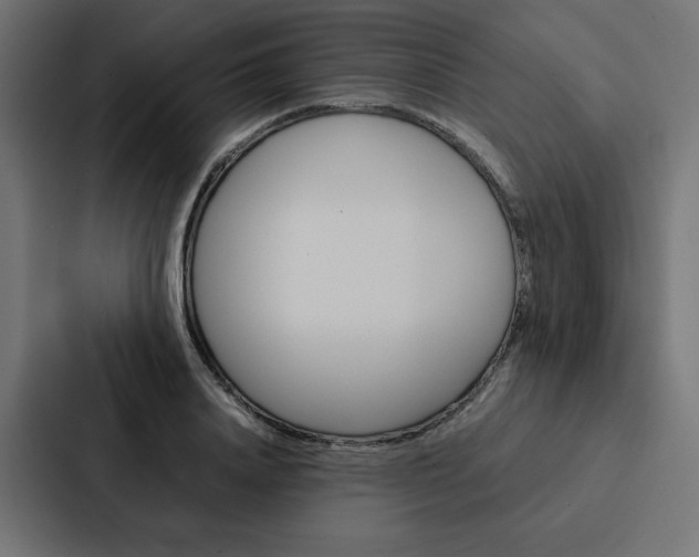X0000088190840200705150958