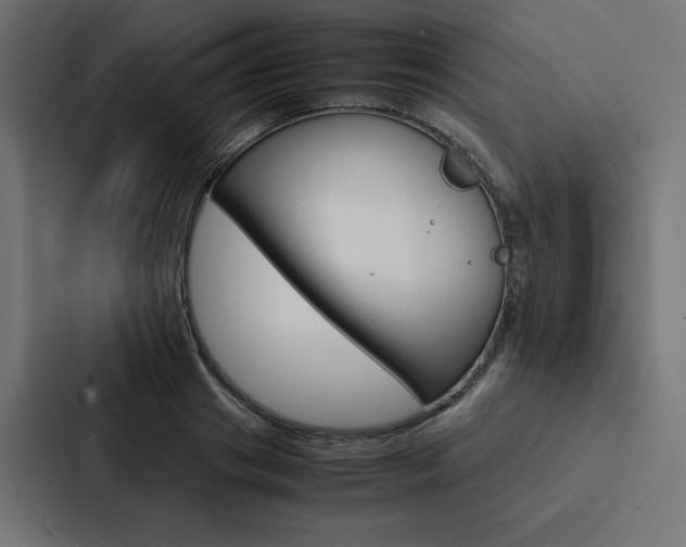 X0000088190841200705150958