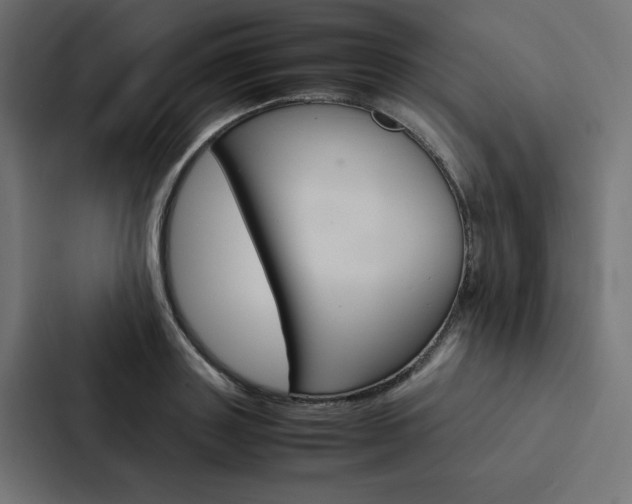 X0000088190843200705150958