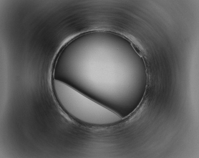 X0000088190846200705150958