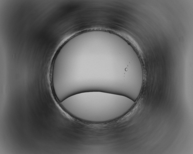 X0000088190847200705150958