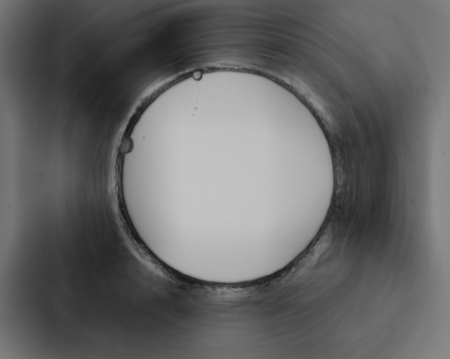 X0000088190848200705150958