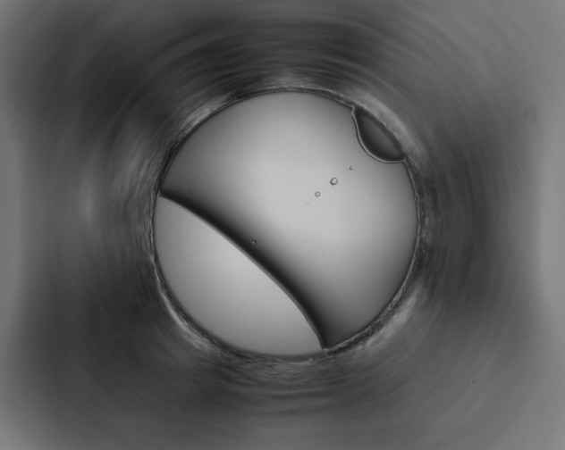 X0000088190849200705150958