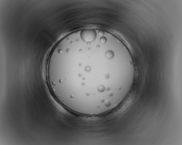 X0000088190851200705150958