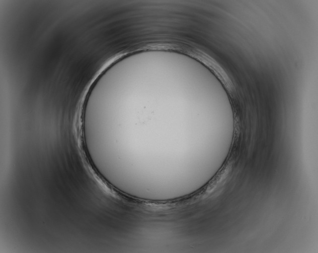 X0000088190852200705150958