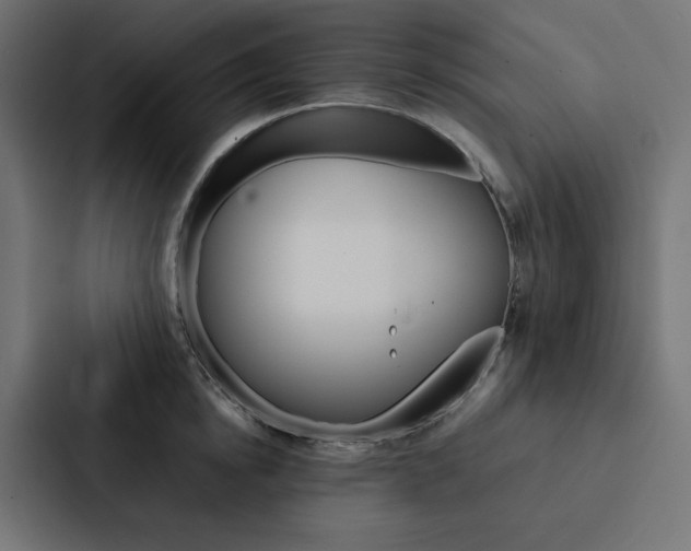 X0000088190854200705150958