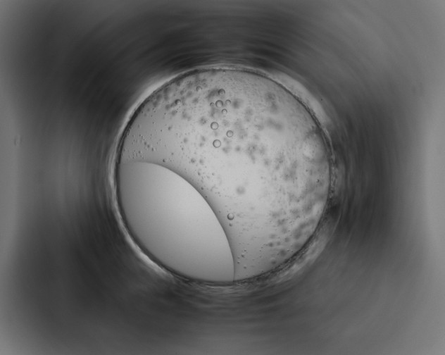 X0000088190855200705150958