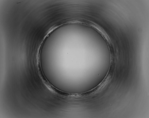 X0000088190858200705150958