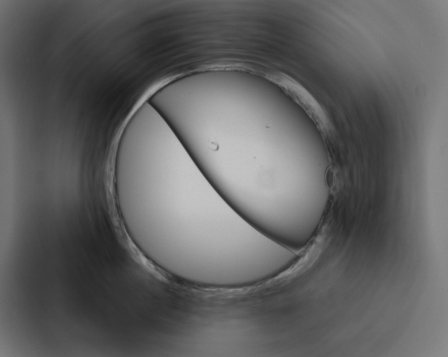 X0000088190860200705150958