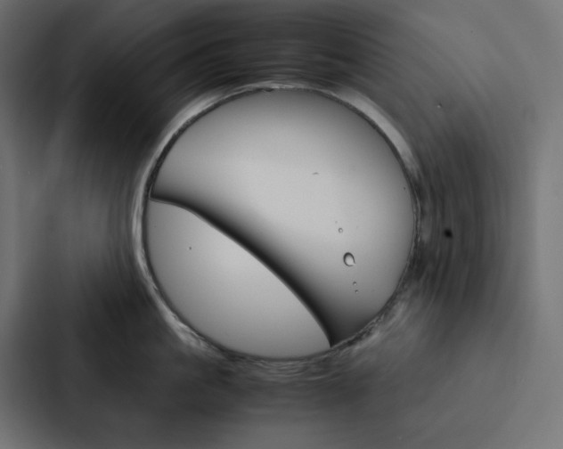 X0000088190861200705150958