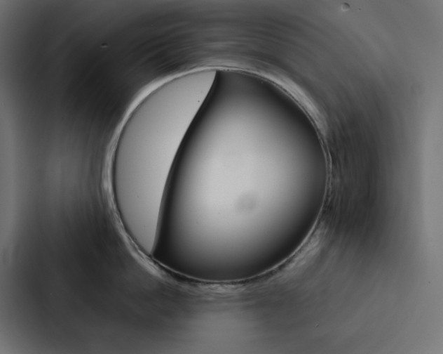X0000088190862200705150958