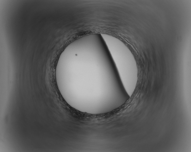 X0000088190865200705150957
