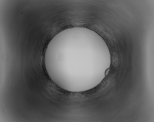 X0000088190866200705150957
