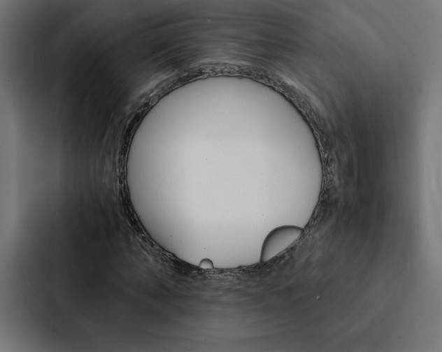 X0000088190870200705150957