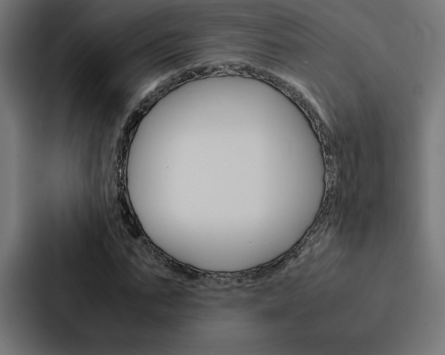 X0000088190871200705150957