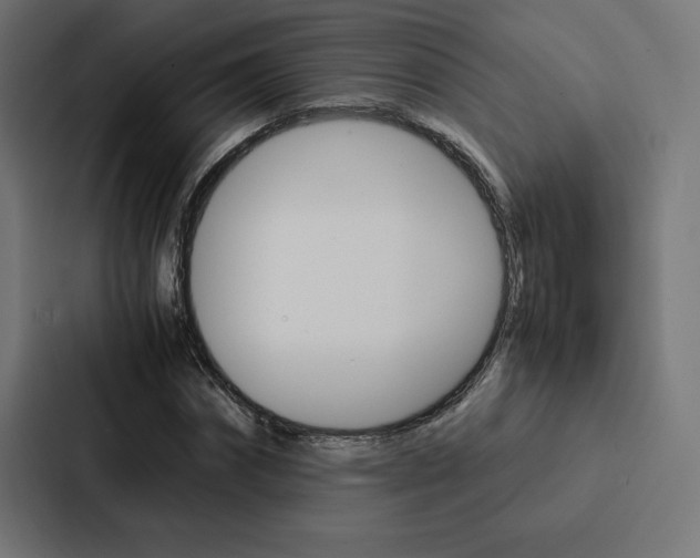 X0000088190874200705150957