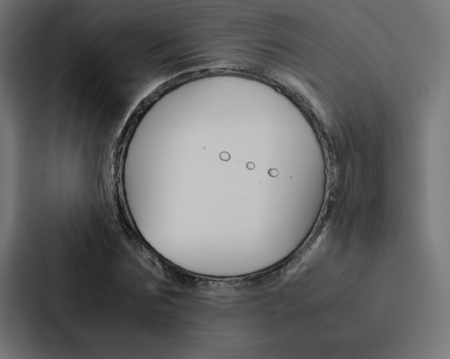X0000088190875200705150957