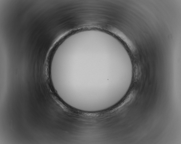 X0000088190878200705150957