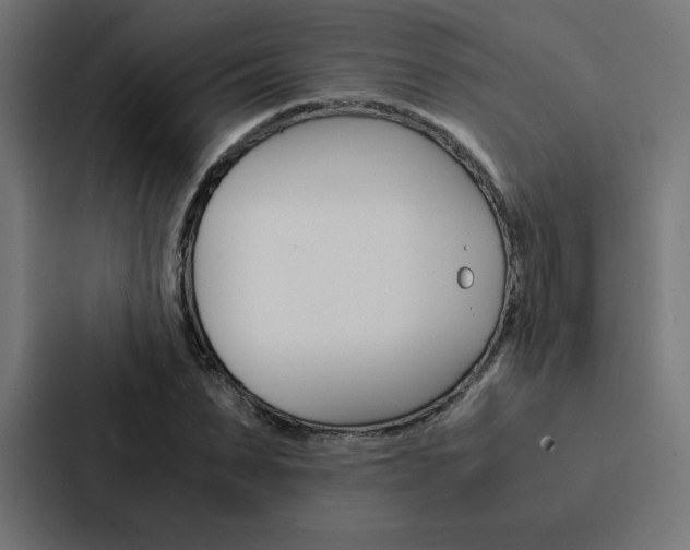 X0000088190879200705150957