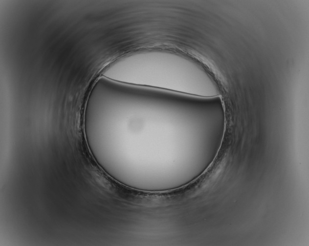 X0000088190881200705150957