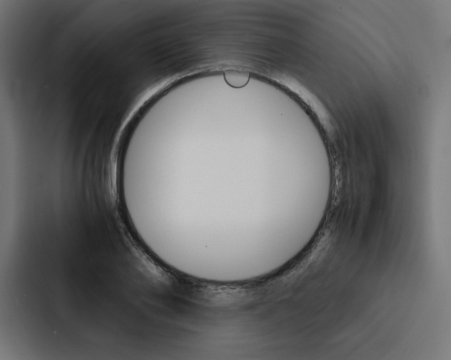 X0000088190886200705150957