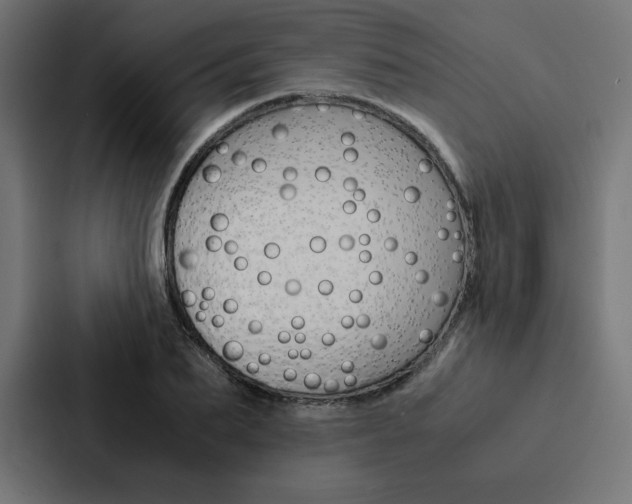 X0000088190887200705150957