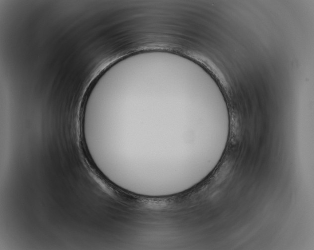 X0000088190890200705150957