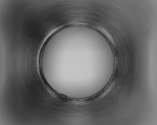 X0000088190893200705150957