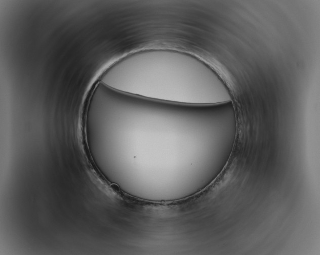 X0000088190896200705150957